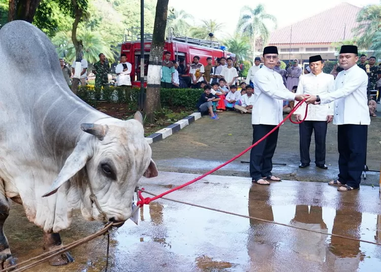 Mabes TNI gelar Sholat Idul Adha  1445 H/2024 M dan penyembelihan hewan kurban di Masjid Panglima Soedirman. Foto: Puspen TNI