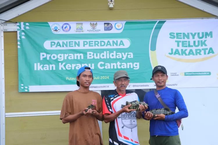 Tiga nelayan budidaya ikan Kerapu Cantang  di  Pulau Tidung  tampak. Sumringah panen perdana  bersama kolaboratornya, Baznas Bazis DKI Jakarta, Selasa (2/7/2024).