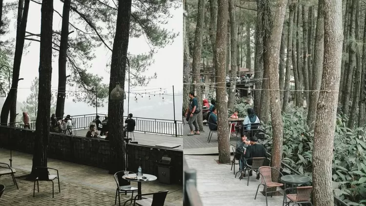 Rekomendasi Tempat Nongkrong Estetik di Bogor dengan View Hutan Pinus, Cocok Dikunjungi Saat Libur Lebaran 2025