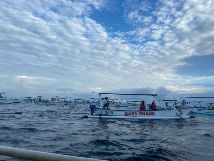 Lovina Dolphin, Bali