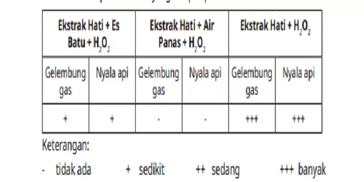 20 Kumpulan Soal Dan Kunci Jawaban PAS Biologi Kelas 12 Kurikulum ...