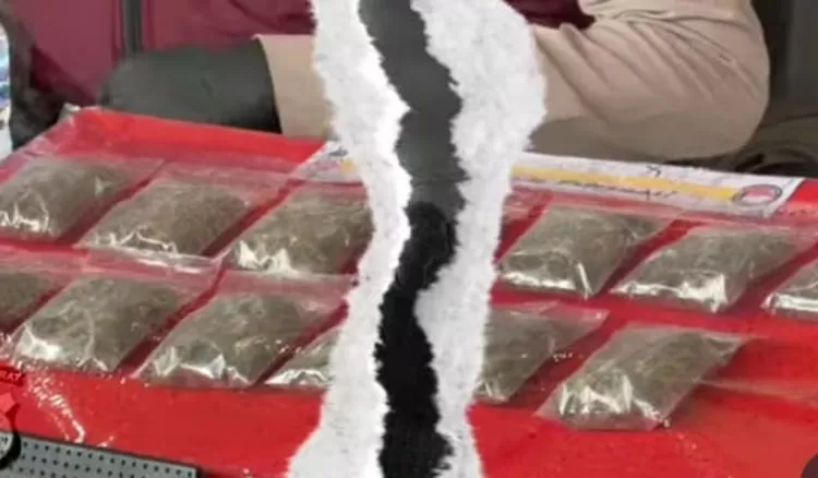 Barang Bukti peredaran ganja di cianjur 