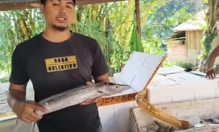 Salah satu jenis ikan yang dijual. Foto: Istimewa