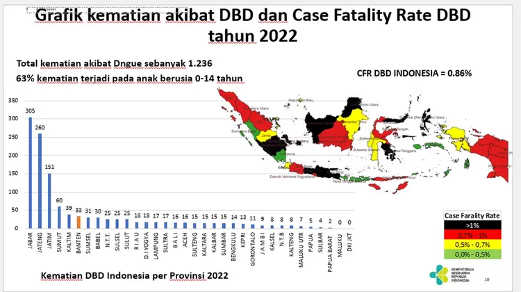Data Kemenkes, pada 2022 menunjukkan, total kematian akibat dengue sebanyak 1.236 kasus.