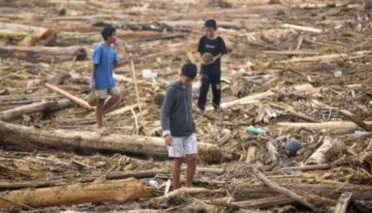 Potongan kayu gelondongan di pantai Padang usai banjir Sumatera.
