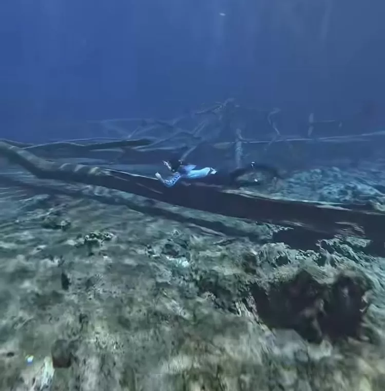 (Foto tangkapan layar video Instagram @arafahrianti)