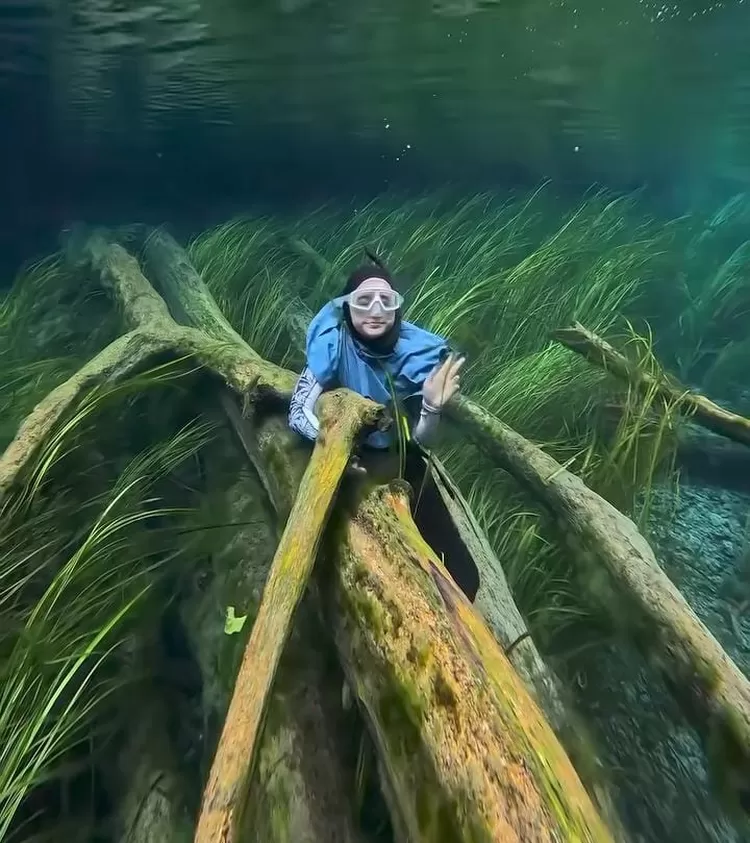 (Foto tangkapan layar video Instagram @arafahrianti)