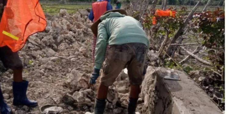 Pekerjaan irigasi tanpa galian di desa netenaen 