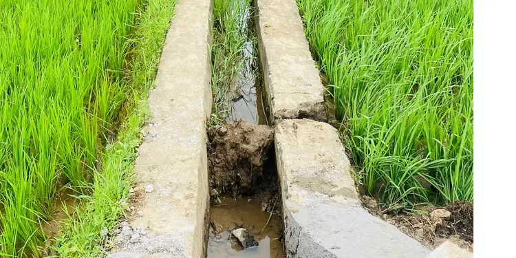 PT Adhi Karya juga tidak melakukan pembersihan, pengangkatan sedimentasi, sampah, dan vegetasi liar. Perbaikan Struktur Bangunan Irigasi, Penguatan dinding saluran, perbaikan talud, dan penggantian bagian yang rusak