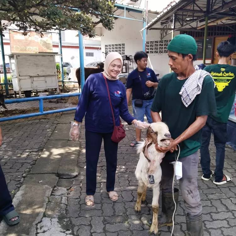 Petugas dan panitia Idul Qurban menyiapkan hewan yang akan disembelih.