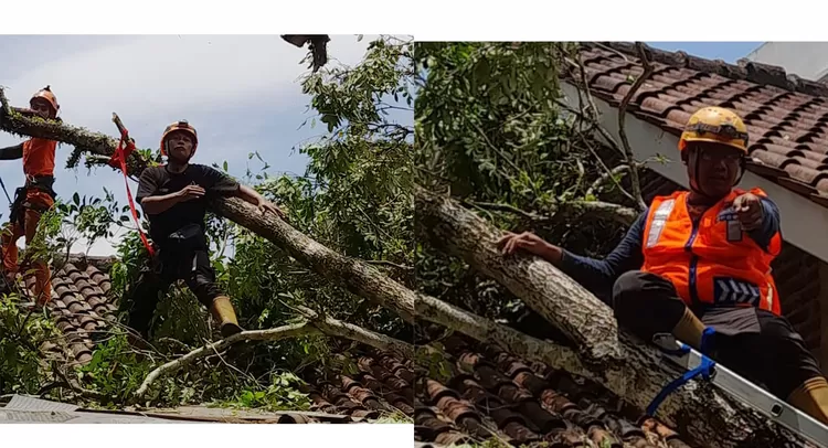 Bencana hidrometrologis dan cuaca ekstrem sebabkan banjir Tasikmalaya, BPBD tangani pohon tumbang dan kerusakan rumah.