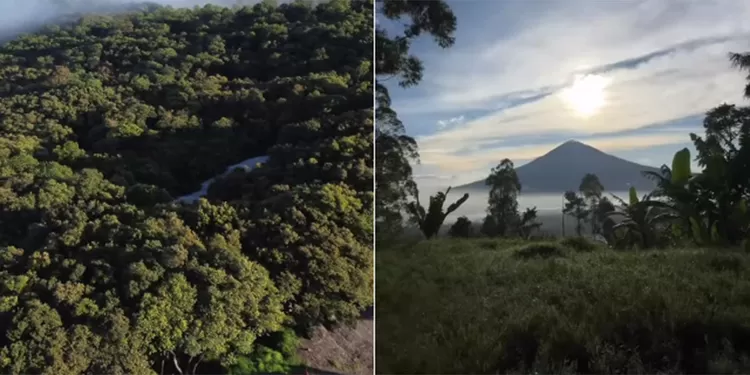 Keindahan Gunung Papandayan di Garut memikat wisatawan dengan pemandangan kawah, udara sejuk, dan Hutan Mati yang ikonik.  