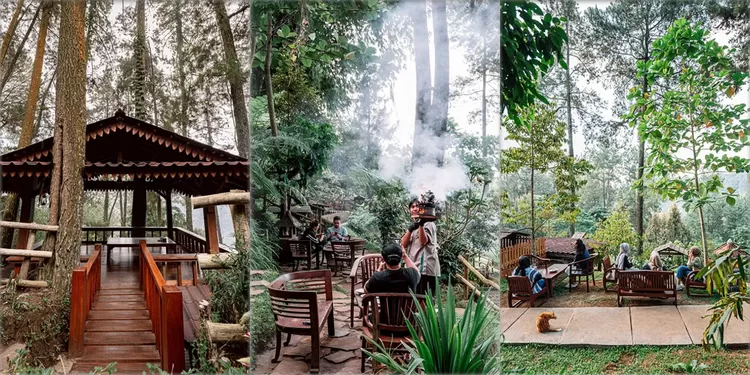 Cafe Alam Pancawati Bogor menghadirkan wisata kuliner dan spot nongkrong di tengah hutan pinus dengan suasana sejuk alami.  