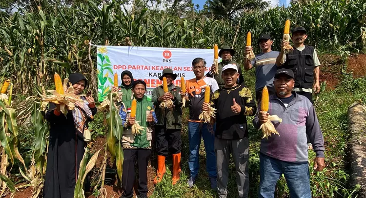 Anggota DPRD Jawa Barat H. Didi Sukardi S.E., menghadiri Panen Jagung yang digelar di Dusun Cikupa, Desa Andapraja, Kecamatan Rajadesa, Kabupaten Ciamis, Rabu, 17 Juni 2026.