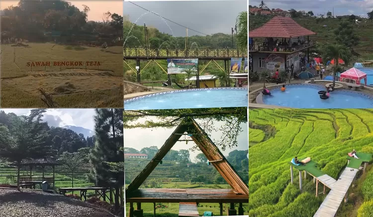 Sawah Bengkok Teja menghadirkan wisata alam Majalengka dengan kolam renang alami di tengah hamparan sawah yang menyejukkan.  