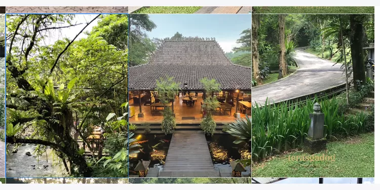 Cafe outdoor Teras Gadog menyuguhkan panorama tepi sungai yang asri, cocok untuk menikmati kuliner sambil healing.  