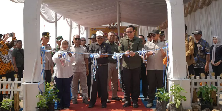 Panen Raya Klaster Padi Pamarican di Kabupaten Ciamis menghasilkan 7,5 ton per hektare. Bank Indonesia meresmikan Kantor Sekretariat Klaster Padi Pamarican.