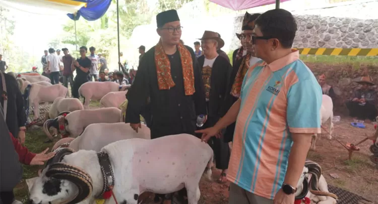 Bupati Garut Abdusy Syakur Amin menghadiri Grand Final SKDG Liga Garut dan Kontes Ternak 2026. Domba unggulan disebut bisa bernilai Rp400 juta.
