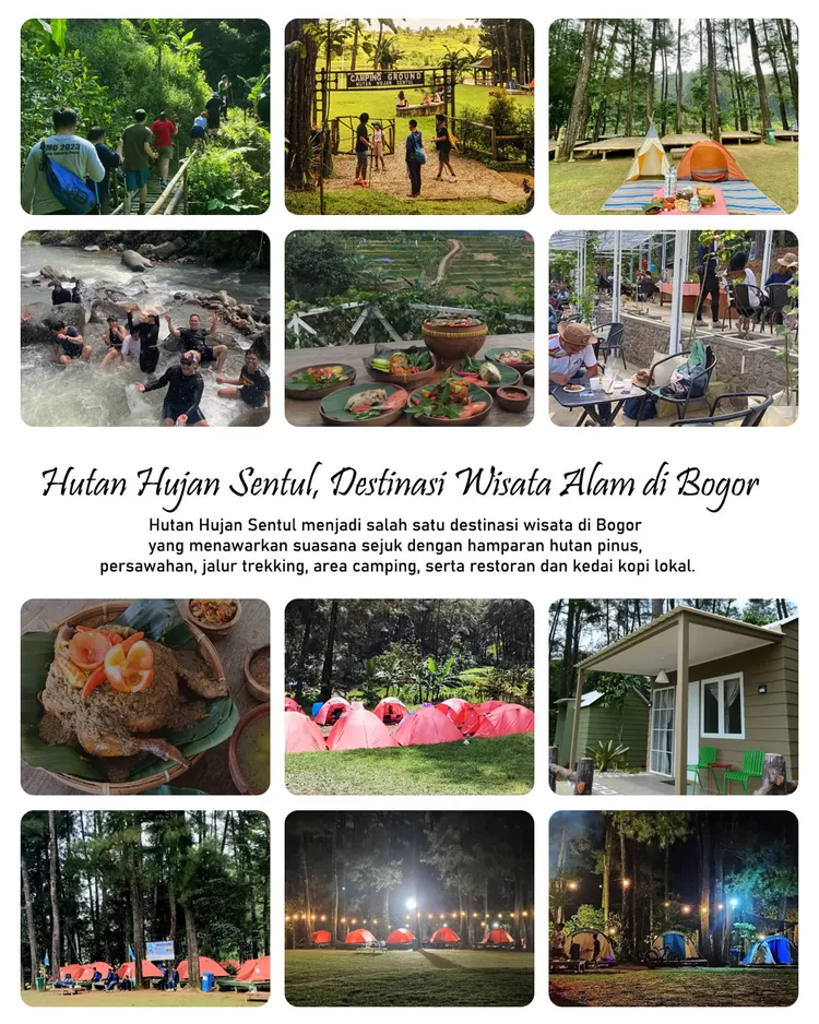 Hutan Hujan Sentul menjadi destinasi wisata alam di Bogor dengan hutan pinus, persawahan hijau, jalur trekking, camping, serta suasana pedesaan yang sejuk.