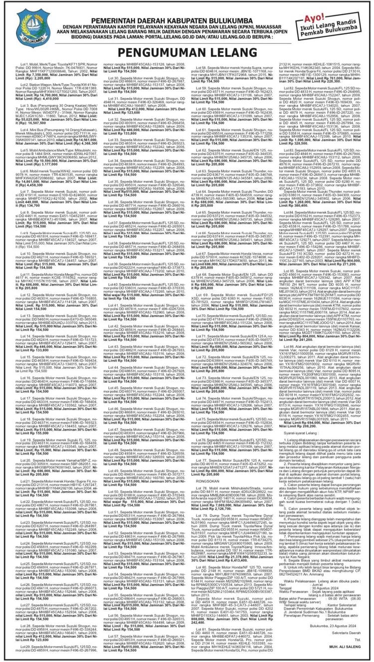 Daftar Lelang Randis Pemkab Bulukumba