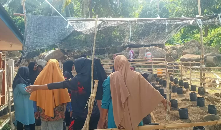 Antusiasme tinggi dari Kelompok Wanita Tani (KWT), Kembang Seroja Desa Rewak yang memadati lahan pertanian desa.