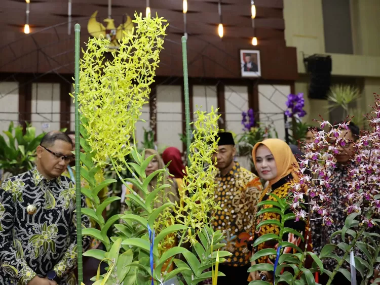 Batu Shining Orchids Week 2023 Buka Jalan Tuan Rumah Asia Pasifik ...