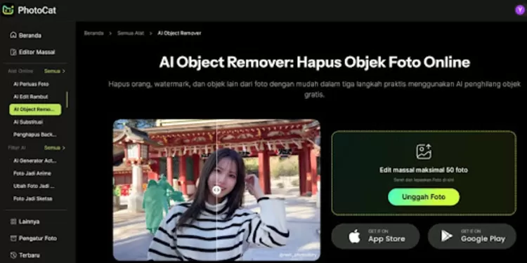 Mau hapus tulisan di foto tanpa ribet? Gunakan AI PhotoCat untuk bersihkan teks, watermark, hingga objek lain hanya dalam hitungan detik.