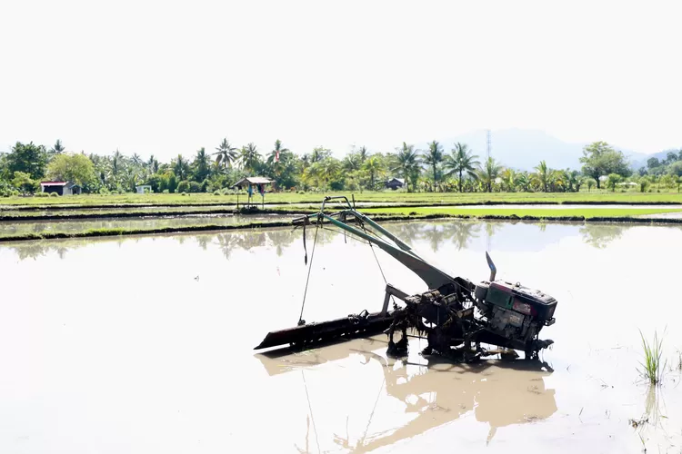 Alsintan Bantuan Gubernur Sulut, Yulius Selvanus bagi Petani di Bolmong