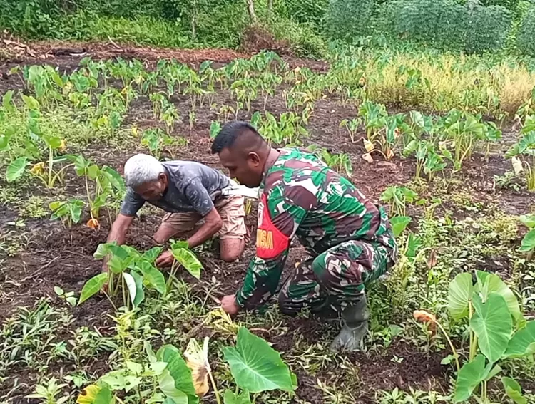 Istimewa
