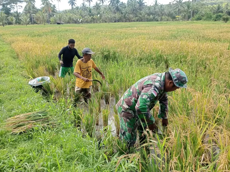 Istimewa