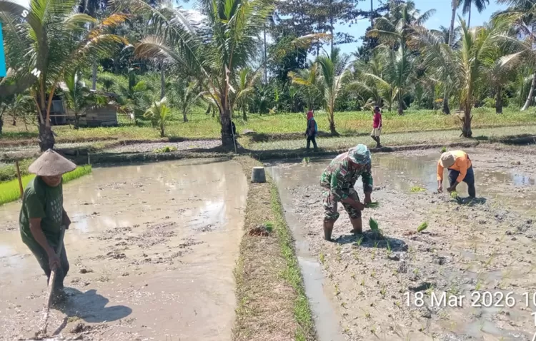 Istimewa