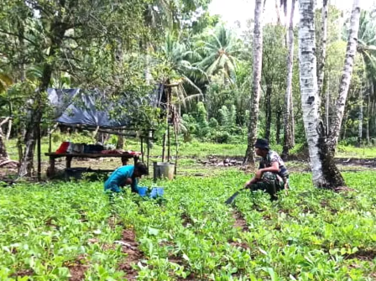 Istimewa