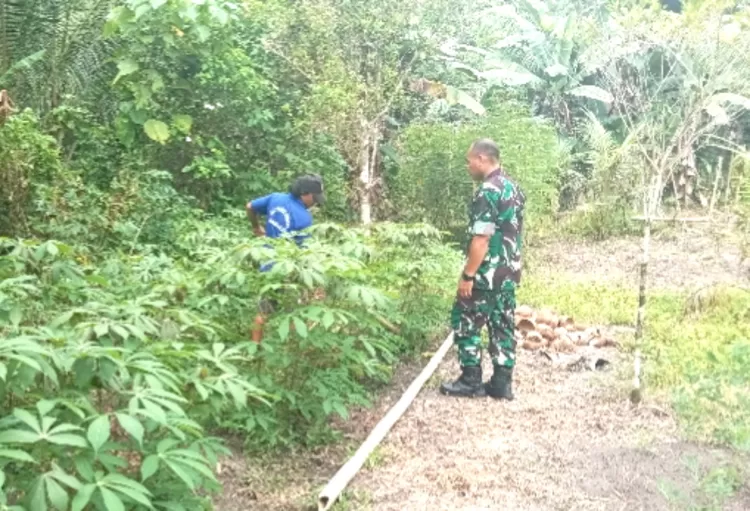 Istimewa