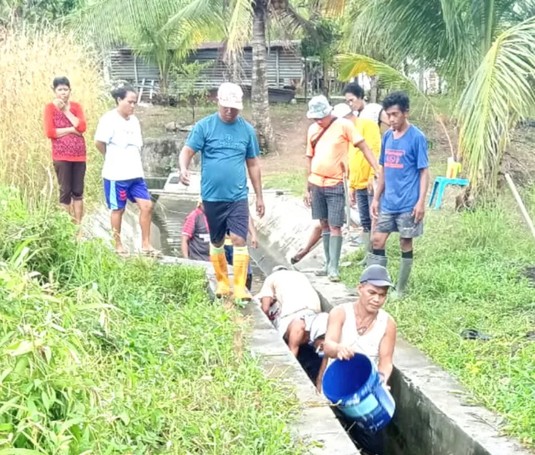 Istimewa