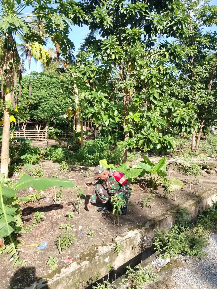 Istimewa