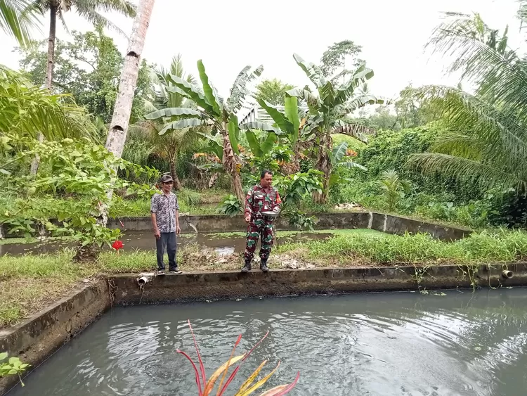 Istimewa