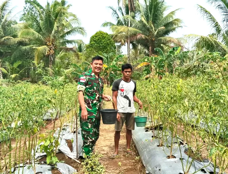 Istimewa