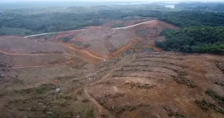 Bandara VVIP Di IKN Nusantara Mulai Dibangun 1 November 2023, Intip ...