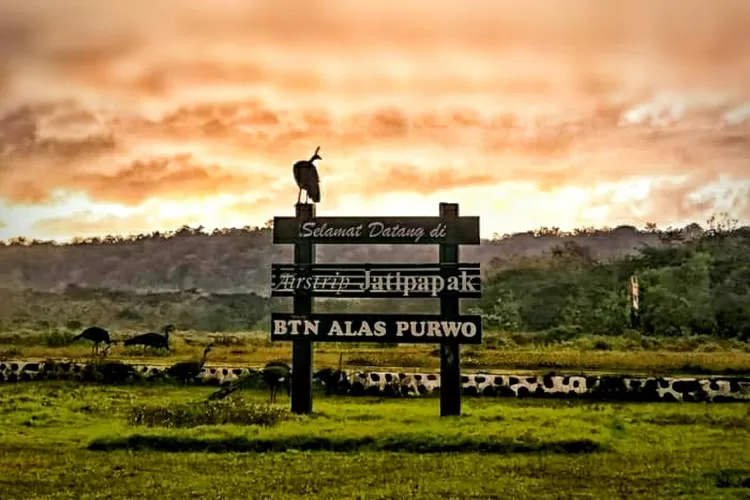 Taman Nasional Alas Purwo di Banyuwangi, Jawa Timur.