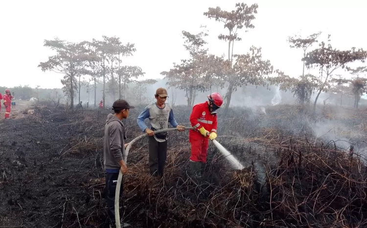 Tim gabungan berupaya memadamkan Kebakaran hutan dan lahan (karhutla) yang melanda kawasan Area Peruntukan Lain (APL) di Desa Sungai Jaga B, Kecamatan Sungai Raya, Kabupaten Bengkayang.