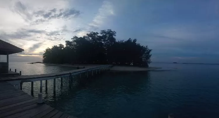 Pulau Semak Daun