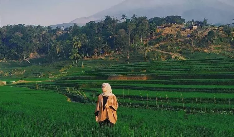 Terasering Ciboer Pass Majalengka, Jawa Barat.