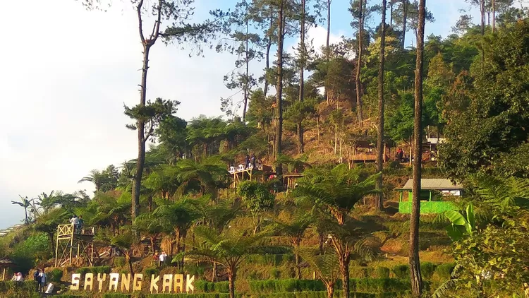 Bukit Mercury Sayang Kaak
