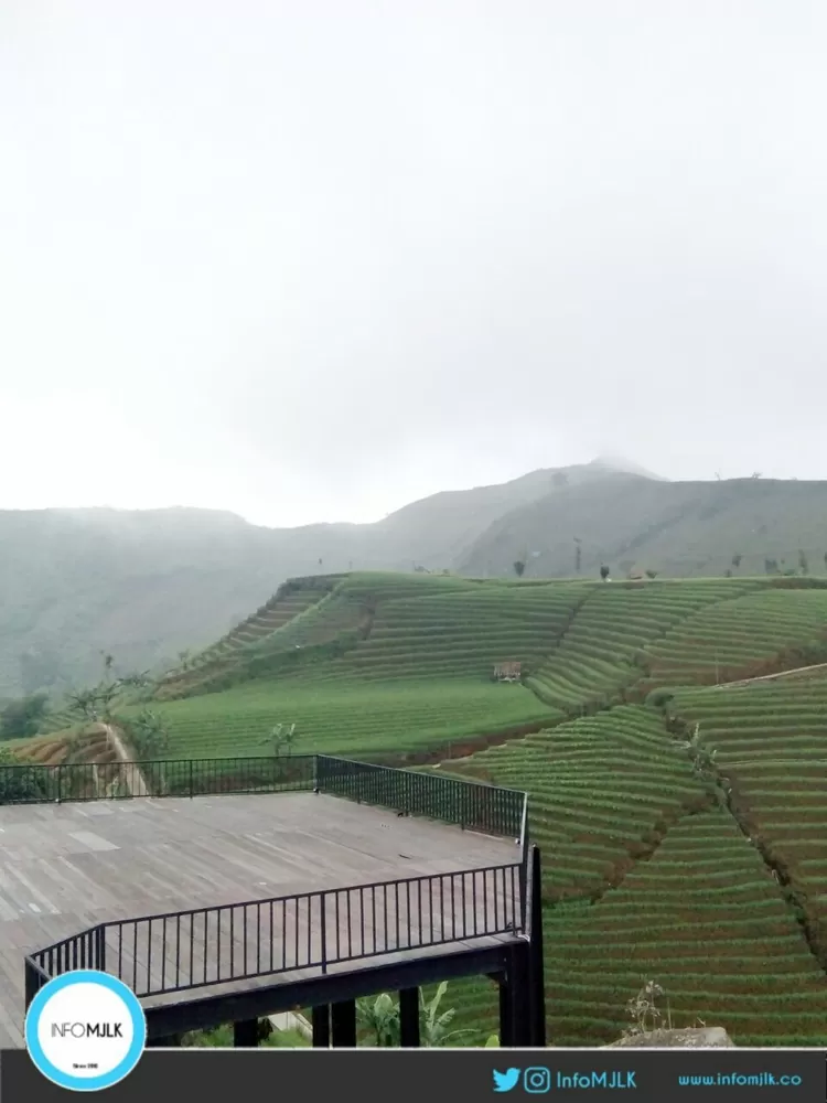 Terasering Panyaweuyan Argapura