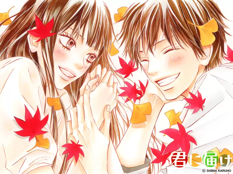 Kimi ni Todoke