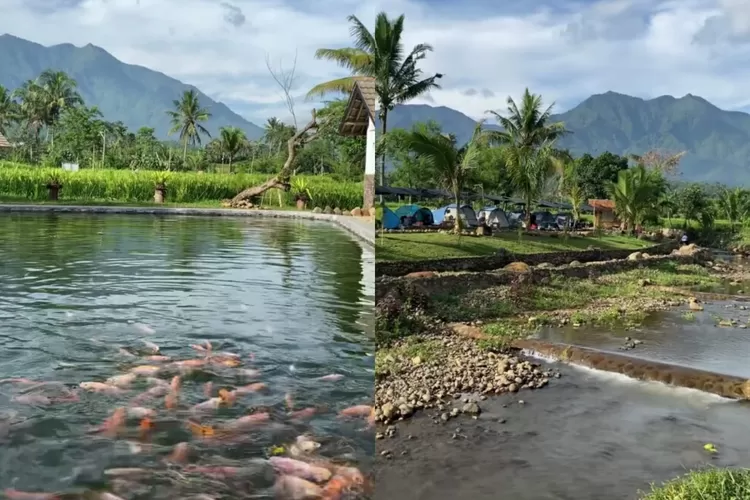 Pesona pegunungan, kolam ikan dan sungai di Kampung Ikan Lembah Tanjung