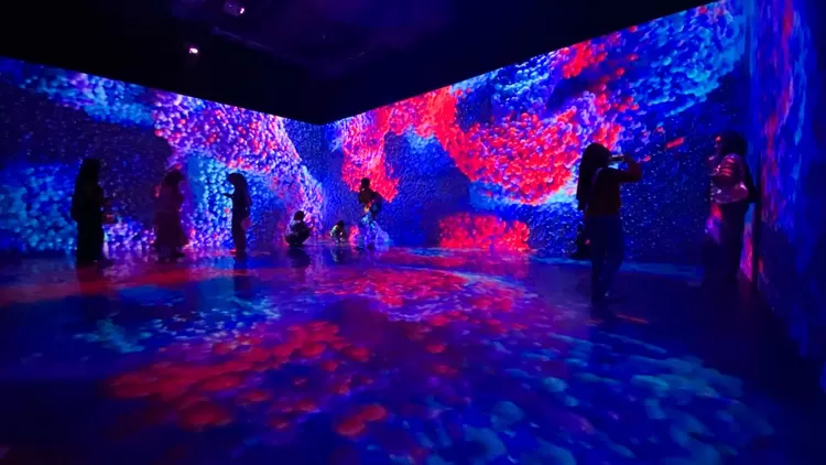 Black Box Multiverse merupakan wahana hasil kerja sama dengan Avatara yang bisa dinikmati segala usia di Cibinong City Mall..