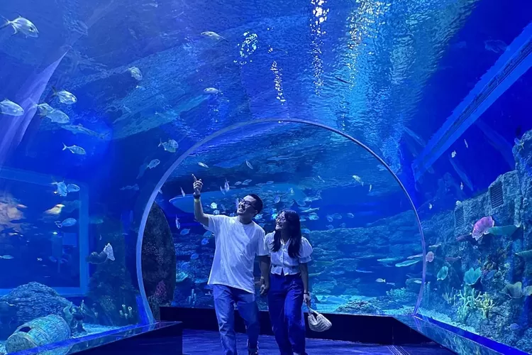 Buruan pesan tiket liburan seru bersama keluarga di AEON Fantasy dan BXSea. Semua tersedia di tiket.com.