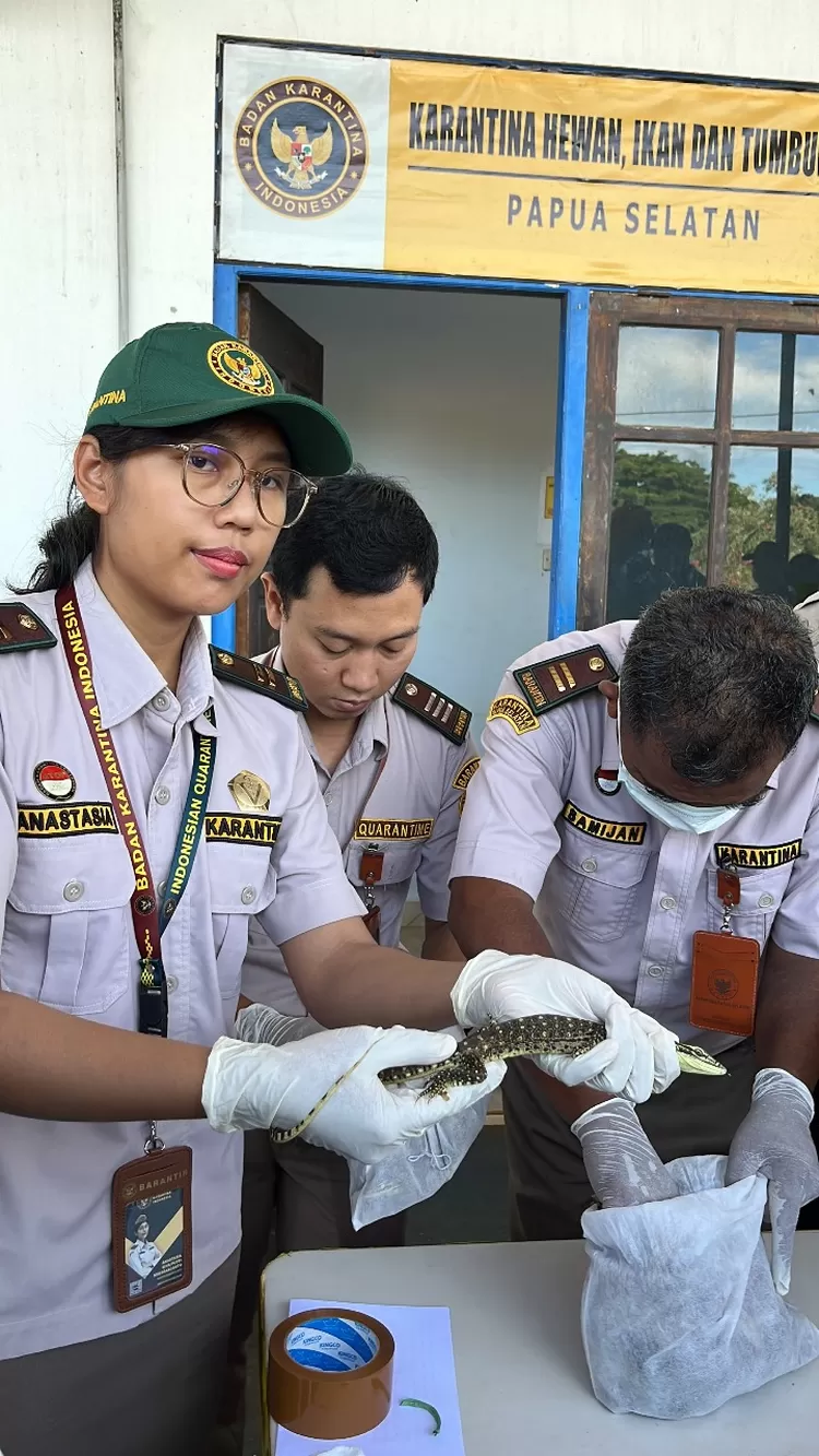 Barantin berhasil menggagalkan seratusan satwa dilindungi berupa reptil di kargo keberangkatan Bandara Mopah.