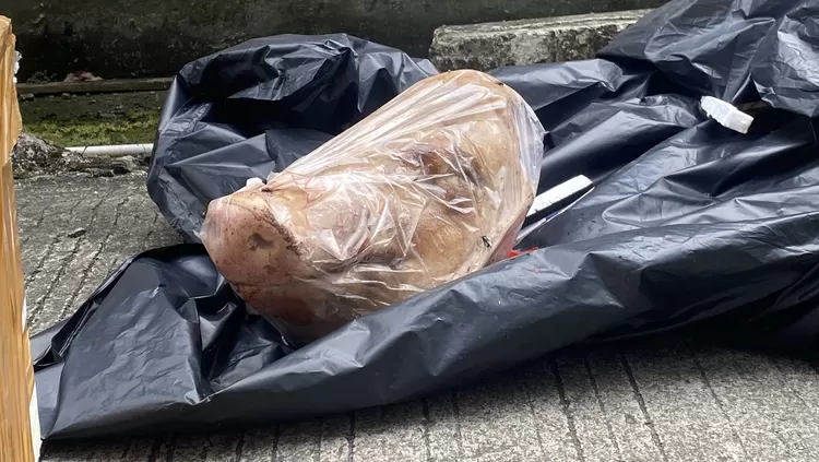 teror kepala babi yang ditunjukkan kepada Jurnalis Tempo.